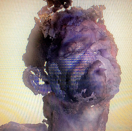 Interrupted 3D scan by artist Paul Coombs